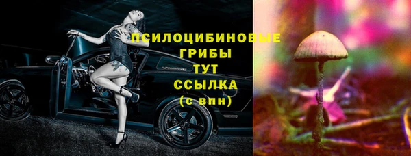 гашик Бронницы