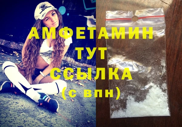 ECSTASY Бородино