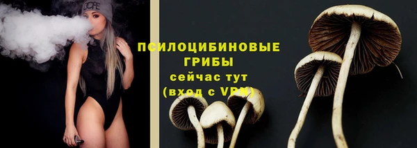 ECSTASY Бородино
