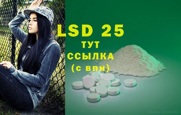 ECSTASY Бородино