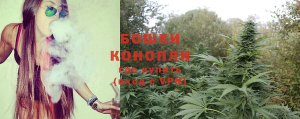 гашик Бронницы