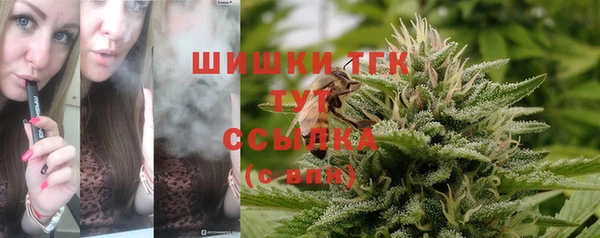 ECSTASY Бородино