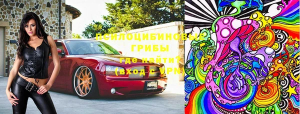гашик Бронницы