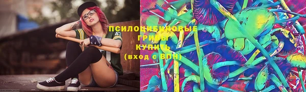 ECSTASY Бородино