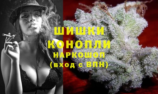 ECSTASY Бородино