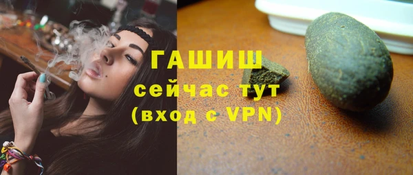ECSTASY Бородино