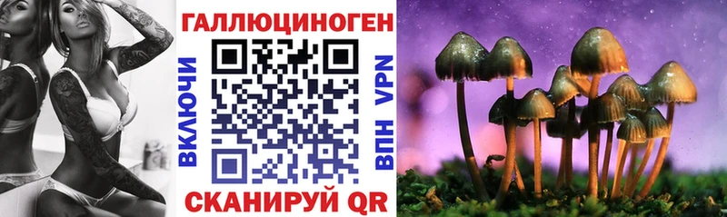 Купить где  Краснослободск  Псилоцибиновые грибы Cubensis 